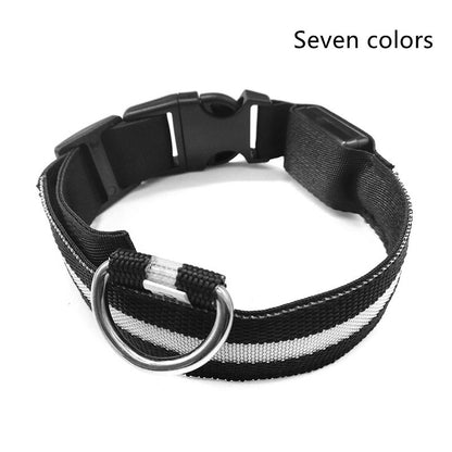 LED Luminous Dog Collar – Adjustable Night Safety Glow for Pets