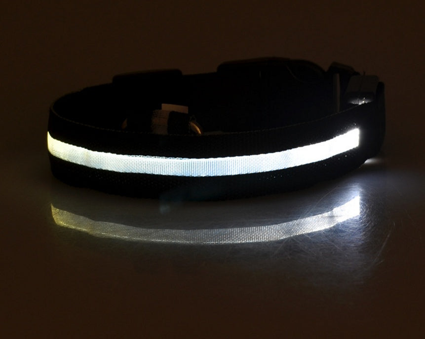 LED Luminous Dog Collar – Adjustable Night Safety Glow for Pets