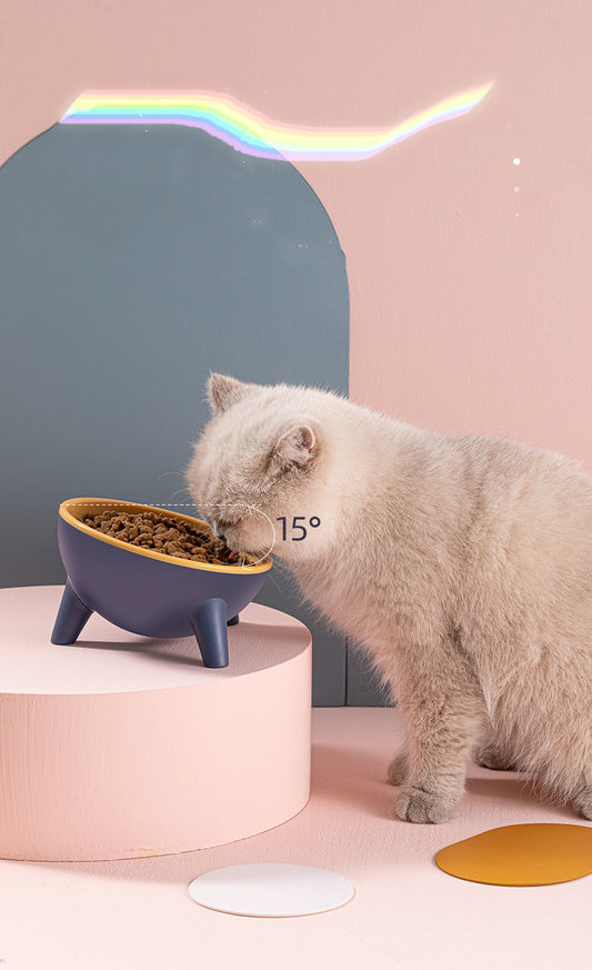 Raised Feeding Bowl for Cats & Dogs