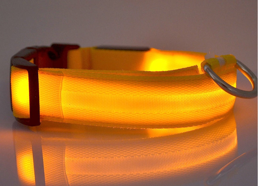 LED Luminous Dog Collar – Adjustable Night Safety Glow for Pets