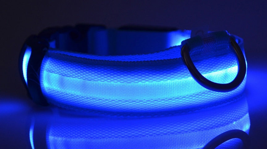 LED Luminous Dog Collar – Adjustable Night Safety Glow for Pets