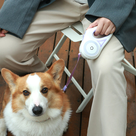 Retractable Dog Leash with Spotlight: Automatic Traction Rope and Collar for Pets